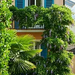 Art Riposo Hotel Ascona