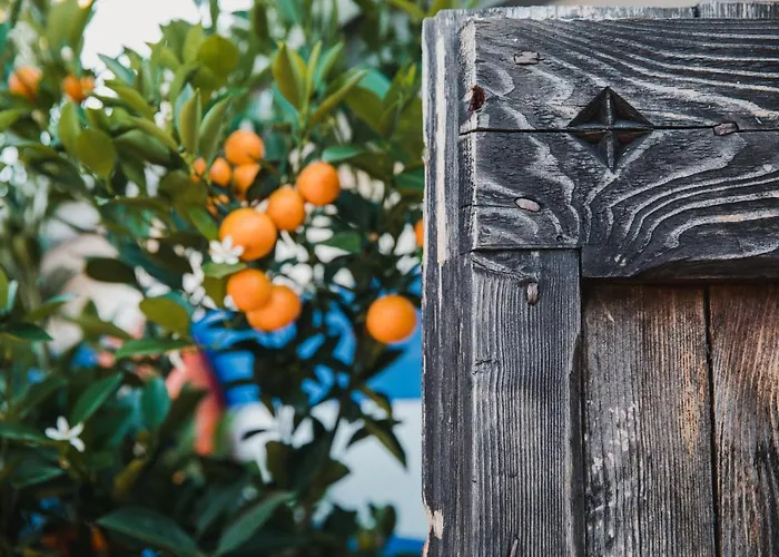 Отель Art Riposo