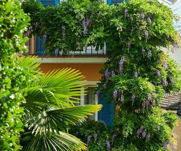 Art Riposo 호텔 아스꼬나